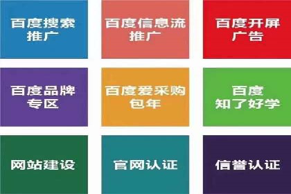 SEM托管实战案例：助力企业品牌形象塑造